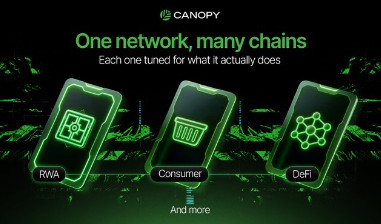 A promotional graphic for 'CANOPY' with the tagline 'One network, many chains - Each one tuned for what it actually does', displaying three green-themed cards labeled 'RWA', 'Consumer', and 'DeFi'.
