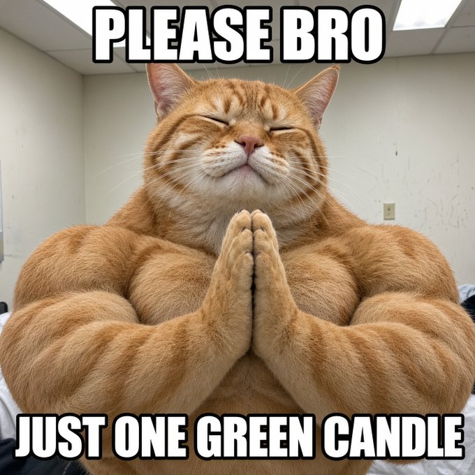 A meme featuring a very muscular orange tabby cat sitting with its eyes closed and paws pressed together in prayer, with bold text reading 'PLEASE BRO' at the top and 'JUST ONE GREEN CANDLE' at the bottom.