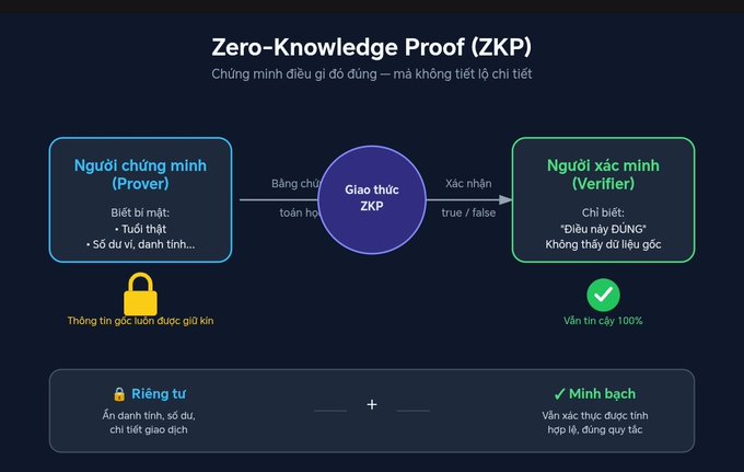 An infographic explaining Zero-Knowledge Proof (ZKP) in Vietnamese, showing the interaction between a Prover (Người chứng minh) and Verifier (Người xác minh) through a ZKP protocol, emphasizing privacy and transparency.