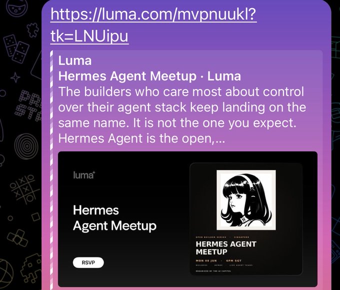 "Hermes Agent Meeting" is described as a fascinating software framework, which seems to be an open source project. This user manual gives you details about this project along with the link to download. The text includes a photo of a black and white image with a name tag in front of it that reads "hermes agent meetup". In the center of the image is a smaller image featuring a cat's face, which is likely part of an album cover or promotional material for the project.