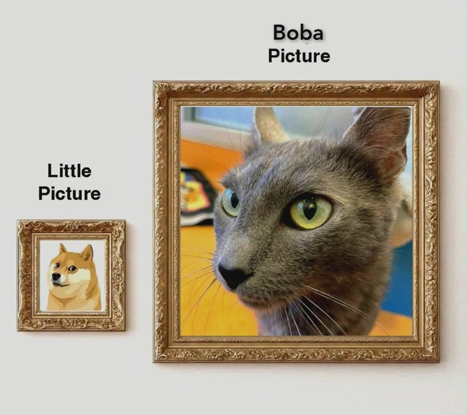 Two framed pictures on a wall: a small frame labeled 'Little Picture' containing a Shiba Inu dog, and a larger frame labeled 'Boba Picture' showing a close-up photo of a gray cat with yellow eyes.