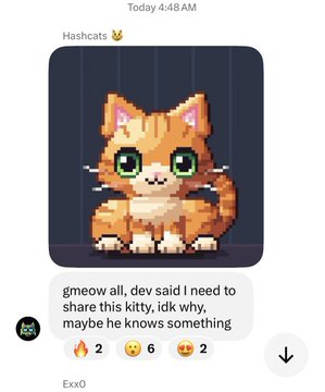 A pixel art of an orange cat with the text 'gmeow all, dev said I need to share this kitty, idk why, maybe he knows something' and reactions.