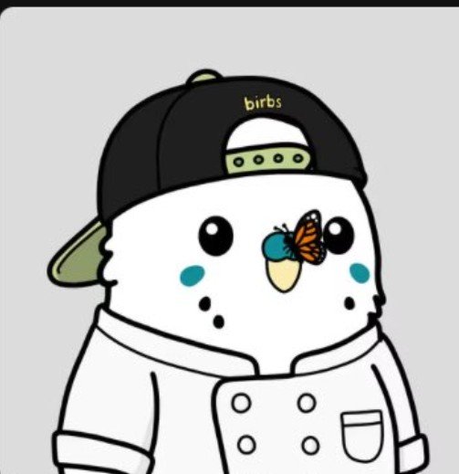 A cartoon white character wearing a backwards black 'birbs' cap and white chef's coat has a butterfly on its nose.