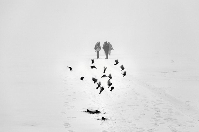 A black and white photograph captures three small figures walking away through heavy snow or fog, followed by a flock of birds on a snowy path.