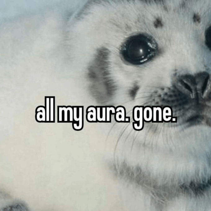 A close-up black and white photo of a cat's face with the text "all my aura. gone." overlaid on it.