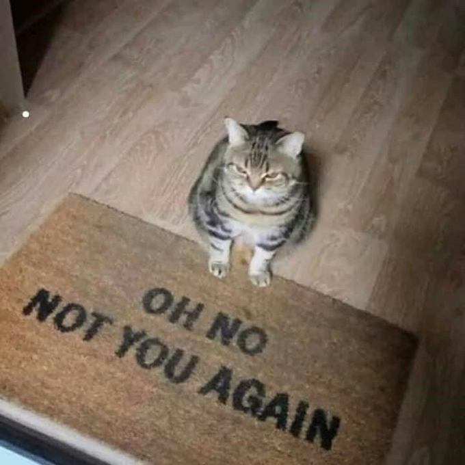 None