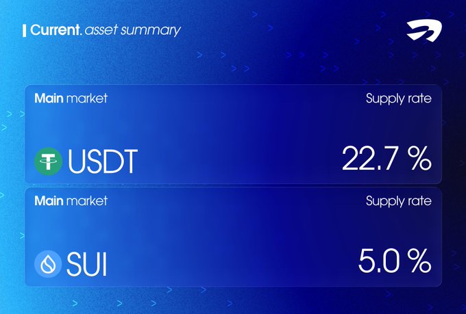 A blue digital asset summary interface showing USDT with a 22.7% supply rate and SUI with a 5.0% supply rate under 'Main market' categories.