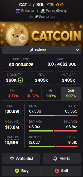 A cryptocurrency tracker showing 'CATCOIN' (CAT/SOL) priced at $0.0004026 with a market cap of $405K and 907% gains over 6H and 24H.