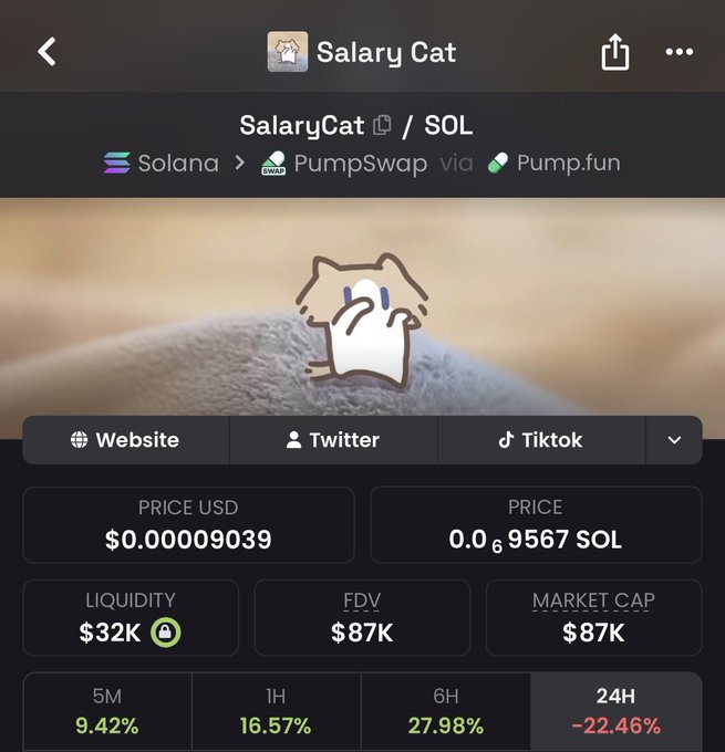 A cryptocurrency app screen showing "Salary Cat" token priced at $0.00009039 USD with liquidity of $32K and a 24H change of -22.46%.