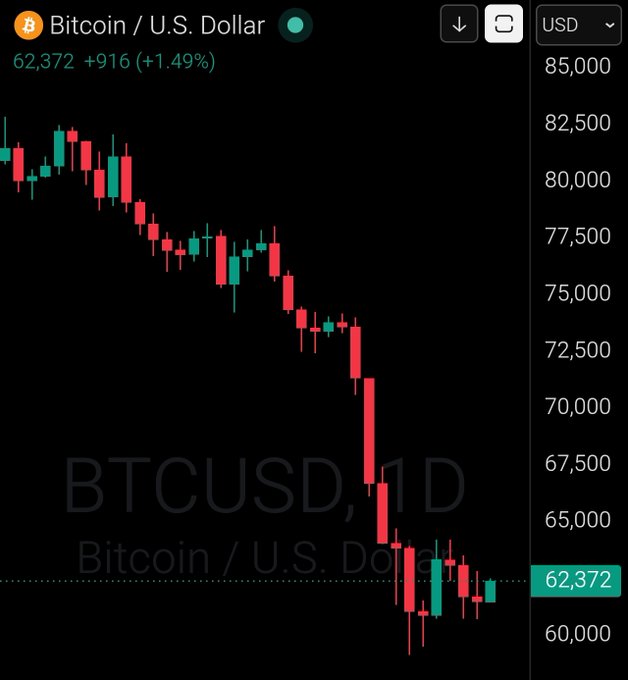 The image features a graph showcasing the value of Bitcoin over time. This information is presented in a chart format that displays the fluctuations of Bitcoin's price against other currency pairs. The primary focus of this chart shows how Bitcoin has dropped relative to the US Dollar, with a steep decline observed during a particular period. Specifically, the downward trend of Bitcoin's value started at around $62,000 and ended up at around $32,000. This indicates that the Bitcoin was losing value against the US Dollar in the given timeframe.