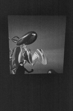 Black and white photograph of a wilting flower, framed within a dark border, captured with dramatic low lighting.