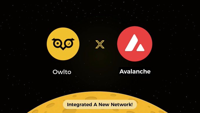 A graphic on a black starry background shows a yellow owl logo labeled “Owlto” crossed with a red “Avalanche” logo, with the caption “Integrated A New Network!”