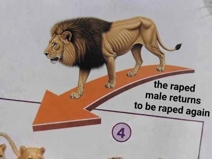 A cartoon lion stands on an orange arrow pointing left, labeled "4," with text reading "the raped male returns to be raped again." The image appears to illustrate a cycle of repeated victimization or exploitation, seemingly used metaphorically in the accompanying post to depict a recurring pattern of unfair criticism or "wash trading" claims against the author.
