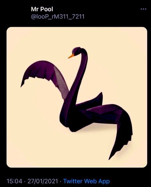 A Twitter screenshot from user @looP_rM311_7211 (Mr Pool) posted on 27/01/2021 showing an abstract, geometric-style illustration of a black swan with purple accents against a beige background.