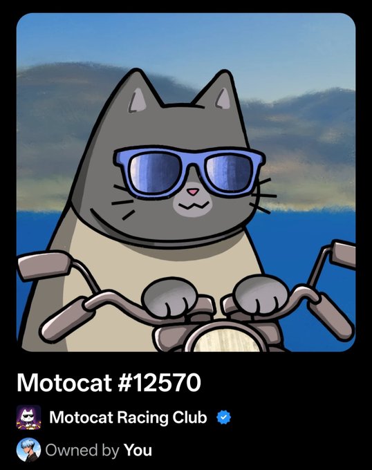 A cartoon gray cat wearing blue sunglasses rides a motorcycle against a blue sky. The image is labeled "Motocat #12570" from Motocat Racing Club, with "Owned by You," showing the digital collectible the user received as a thoughtful gift from Ministerr.