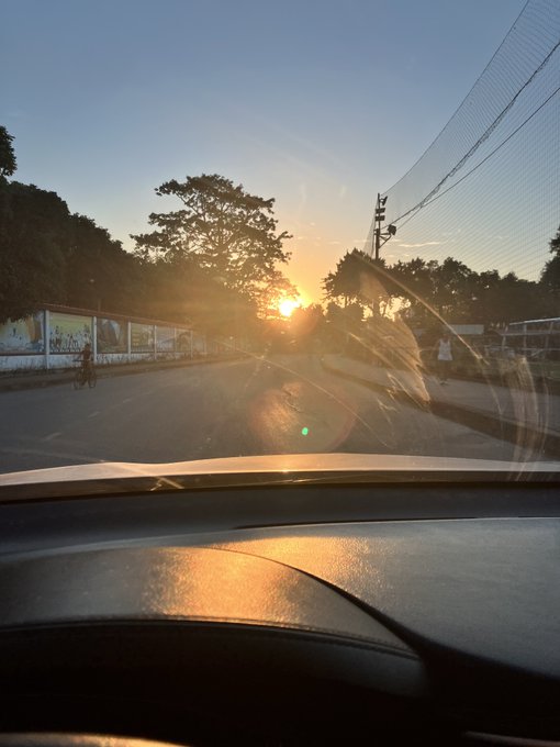 A sunset view taken from the dashboard of a car driving down a tree-shaded road, casting long shadows under a power line.