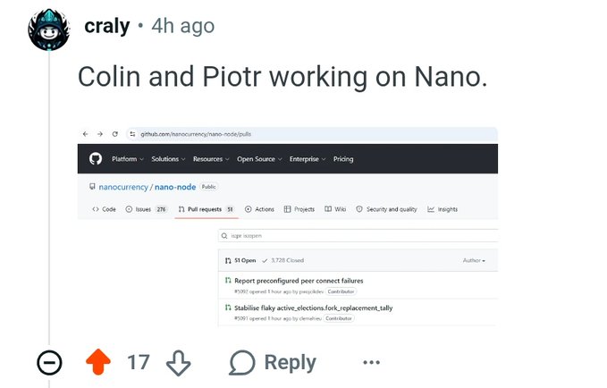 A Reddit comment by user 'craly' posted 4 hours ago, captioned 'Colin and Piotr working on Nano,' showing a screenshot of the nanocurrency/nano-node GitHub Pull requests page.