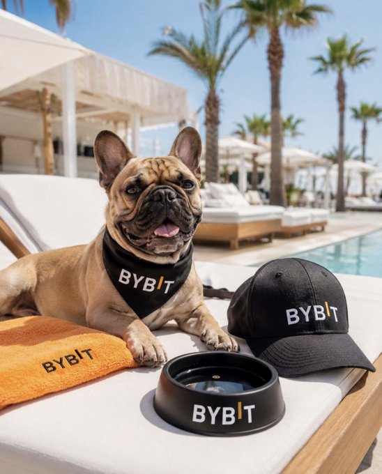 The image features a tan dog wearing an orange bandana with the word "BYBIT" written on it, sitting next to two black bowls - one for food and another for water. The scene takes place near a pool or beach area, as indicated by the presence of palm trees in the background.
