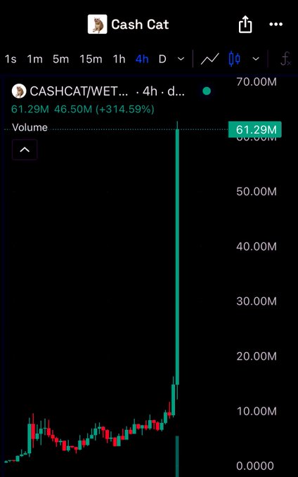 The image shows a 4-hour trading chart for $CASHCAT/WET on DEX Screener, with volume spiking to 61.29M (up +314.59%) and a massive vertical volume bar reaching 70M, visually confirming the poster's claim of traders FOMO buying and bridging $CASHCAT as it hits 60M+ volume.