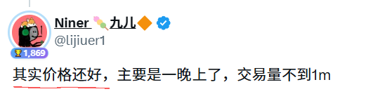 A screenshot of a tweet from user "Niner 九儿" (@lijiuer1) showing Chinese text that reads "其实价格还好，主要是一晚上了，交易量不到1m" (meaning "Actually the price is okay, mainly overnight, volume under 1m"), which serves as one of the example comments criticized in the accompanying post for downplaying losses with phrases like "price is actually still fine."