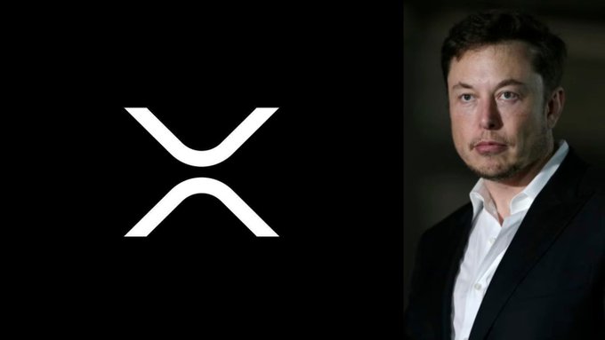 The image shows the XRP logo next to a portrait of Elon Musk, visually linking the news that SpaceX ($400 billion) is now tokenized on the XRP Ledger.