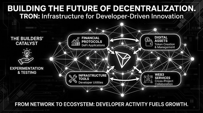 A futuristic infographic titled "BUILDING THE FUTURE OF DECENTRALIZATION: TRON: Infrastructure for Developer-Driven Innovation," showing four connected categories—Financial Protocols, Digital Assets, Infrastructure Tools, and Web3 Services—with the TRON logo at the center.