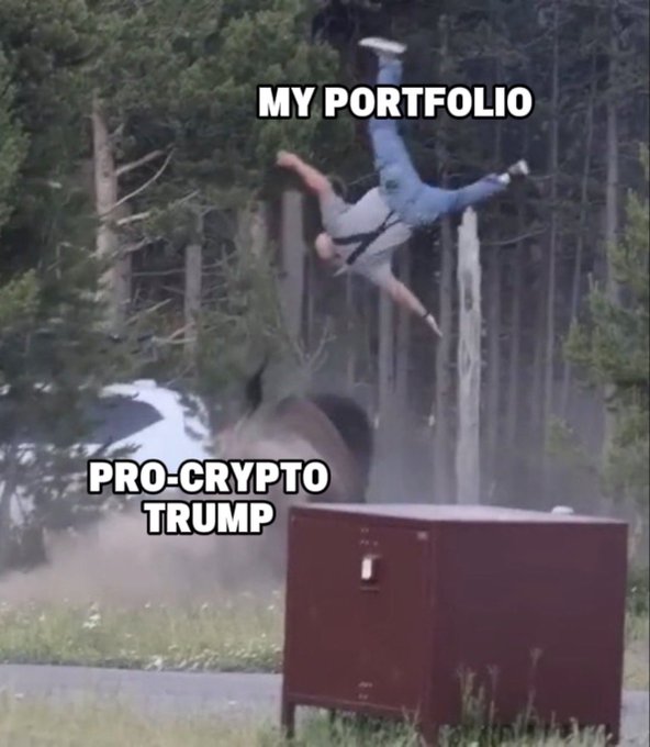 A meme showing a person crash-diving toward a cabinet, labeled 'MY PORTFOLIO' falling toward 'PRO-CRYPTO TRUMP' on the ground.