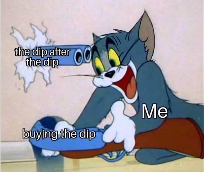 A Tom and Jerry meme showing Tom firing a gun, labeled with 'the dip after the dip', 'buying the dip', and 'Me', referencing the classic stock market dip-buying joke.