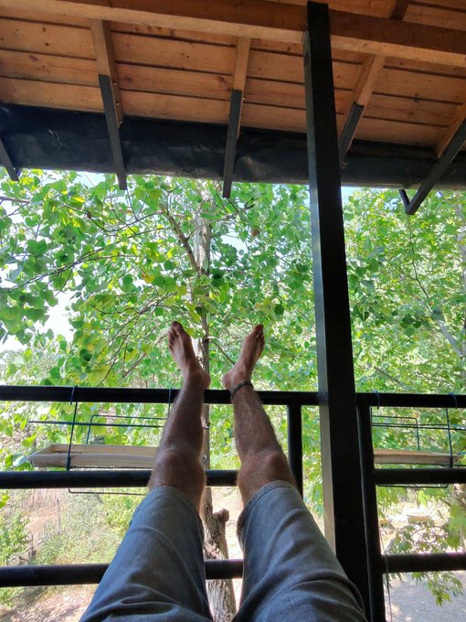 A person relaxes on a covered deck, barefoot legs propped up on the railing while enjoying a lush, tree-filled view that perfectly matches the post's cheerful "Good Morning & konnichiwa familia" vibe of a happy Wednesday.