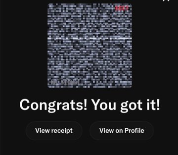 A confirmation screen with the text 'Congrats! You got it!' above buttons for 'View receipt' and 'View on Profile', with a blurred thumbnail above.