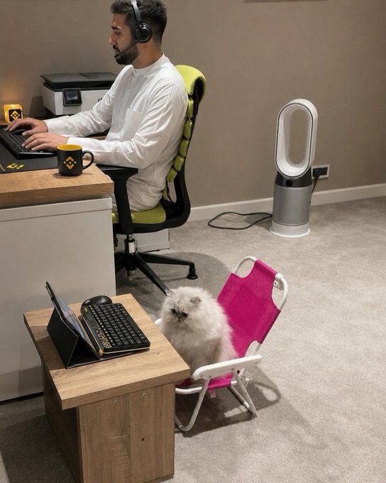 A man wearing headphones works at his computer setup with a printer and Dyson fan nearby, while a fluffy white cat sits on a miniature pink beach chair beside a small wooden desk holding a keyboard and tablet. The whimsical scene perfectly captures the "best trading buddy" who quietly sits alongside their owner during long work sessions.