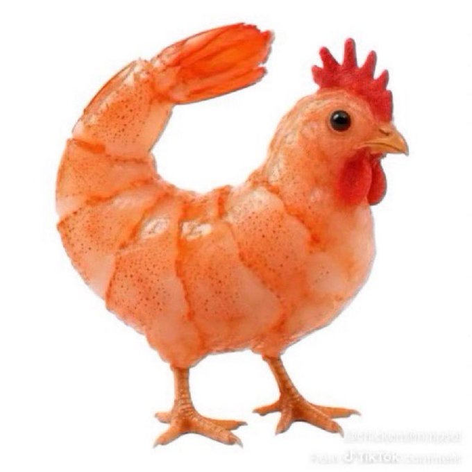 The image features a chicken made out of shrimp, standing upright on its hind legs against a white background. The chicken has an orange color that resembles a rooster or a chicken, with a red comb on top of its head. The photo is accompanied by text that reads "giving away 0.5 sol to someone who raids jupiter with this photo show some proofs and drop wallets!" This message seems to be related to the image's content, possibly encouraging viewers to share it with others or provide proof of its authenticity.