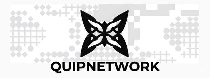 A logo for QUIPNETWORK featuring a stylized black butterfly/floral emblem over a gray pixelated grid background.