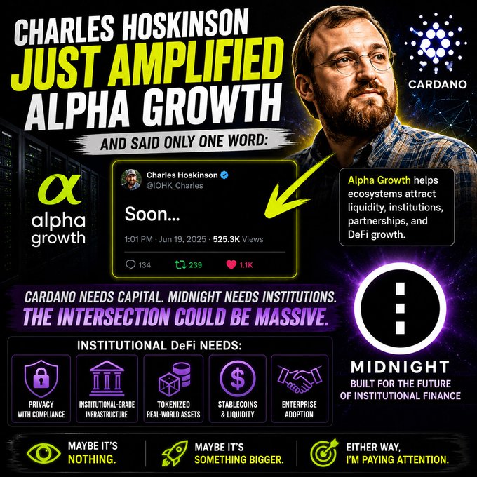 The main focus of this image is a poster or flyer promoting Alpha Growth, which specializes in helping blockchain ecosystems attract liquidity, institutions, partnerships, and DeFi growth. It is displayed against a dark background that makes the text stand out prominently. 
There are multiple bullet points on the poster highlighting key aspects of how their services work, including the expertise they offer and the advantages they provide to those using the Cardano cryptocurrency network. The text "ALPHA Growth", "Charles Hoskinson", and " Alpha Growth" are written in a slightly larger size compared to other elements on the flyer.