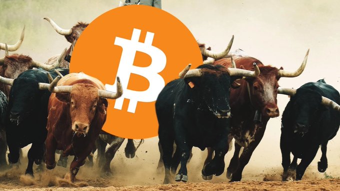 A promotional image featuring the Bitcoin logo overlaid on a charging herd of longhorn bulls, symbolizing bullish market sentiment.