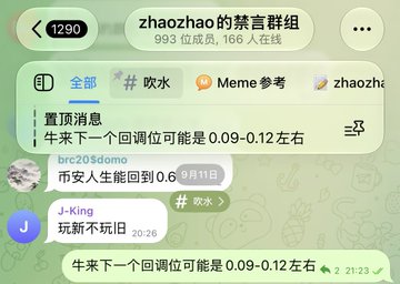 A Telegram group chat screenshot in Chinese, showing a pinned message about a 'bull market pullback position may be 0.09-0.12.' The group is named 'zhaozhao的禁言群组' with 993 members and 166 online.
