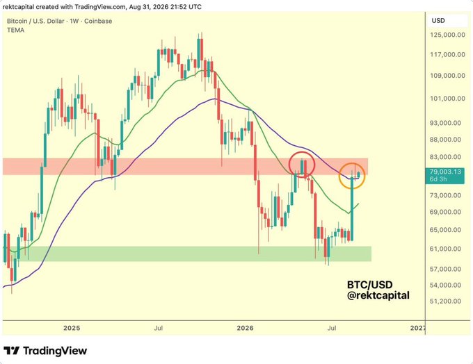 A TradingView weekly candlestick chart of BTC/USD on Coinbase from rektcapital dated August 31, 2026, showing Bitcoin price around $79,003.13 with TEMA moving averages, highlighted support/resistance zones in red and green, and two circled areas on the right side of the chart.