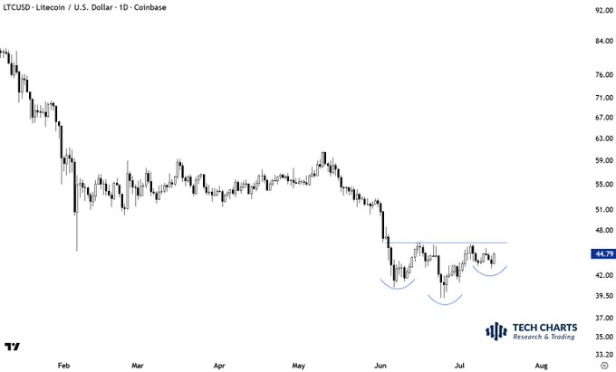 A daily candlestick chart of LTCUSD (Litecoin/U.S. Dollar) on Coinbase from February to August shows a declining trend from ~$84 down to ~$41, with a highlighted base formation and rounded bottom patterns beneath a $48 resistance level where price currently sits at $44.79. The annotations support the post's claim of early-stage reversal potential, illustrating the inverse head-and-shoulders pattern that bulls would need to break above ~$48 to confirm.