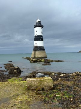A small, white and black striped lighthouse stands on a rocky outcrop in the sea, viewed from a seaweed-covered shore under an overcast sky.