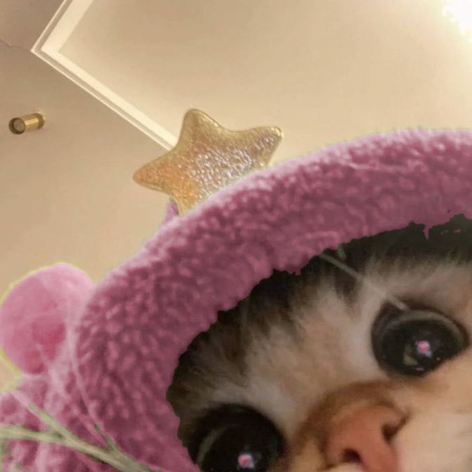 A close-up of a small primate wearing a sparkly gold star headband and a fuzzy pink hat with ear flaps, showing its large dark eyes.