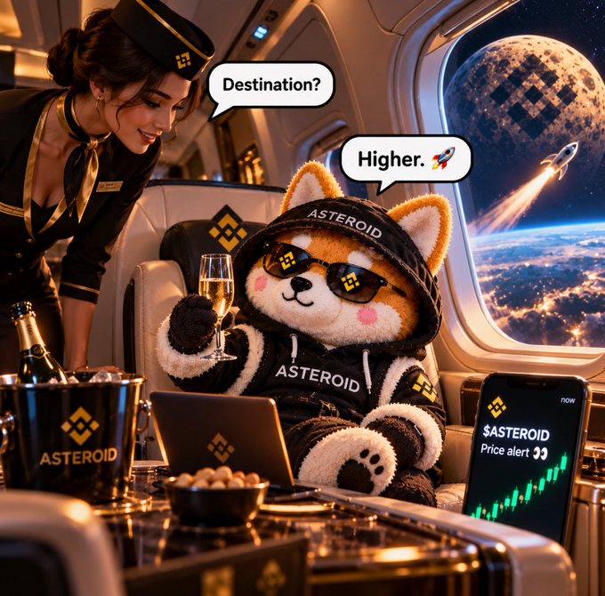 A flight attendant in uniform asks 'Destination?' while a doge mascot in sunglasses and an 'ASTEROID' hoodie responds 'Higher 🚀' inside a spaceship with Earth and an asteroid visible.
