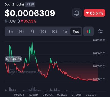 Screenshot of a cryptocurrency chart for Dog (Bitcoin) #325 showing a price of $0.0006309 with an 85.53% drop, displayed on what appears to be CoinMarketCap.
