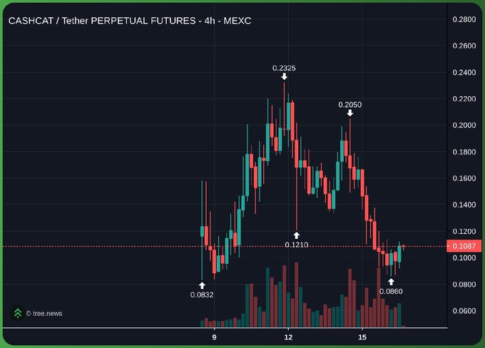 A candlestick chart titled 'CASHCAT / Tether PERPETUAL FUTURES - 4h - MEXC' from tree.news showing price action with key levels at 0.0832, 0.1210, 0.2325, 0.2050, 0.1087, and 0.0660.