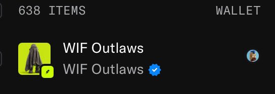 A digital wallet screen showing '638 ITEMS' at the top and two 'WIF Outlaws' NFT listings, with the second one marked as verified.