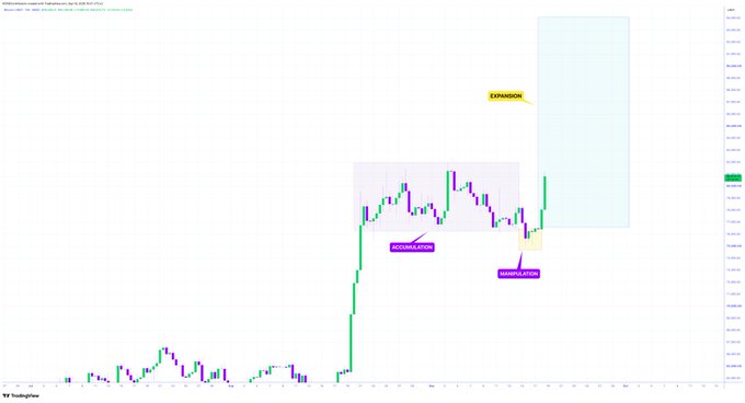 A TradingView candlestick chart shows the Ambev ON chart with annotations marking an EXPANSION zone at the top right, an ACCUMULATION phase in the middle, and another ACCUMULATION area near the bottom of the recent price action.