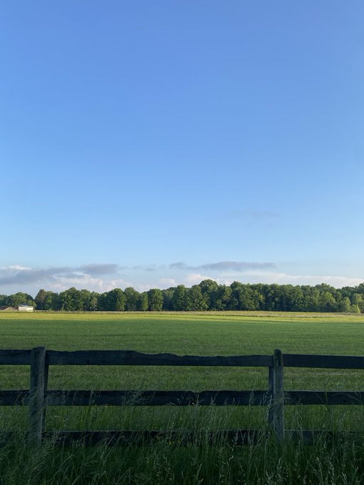 A serene rural landscape showing a vibrant green field bordered by a wooden fence in the foreground, with a line of trees and a clear blue sky in the background.
