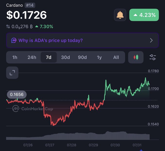 A CoinMarketCap price chart for Cardano (ADA), ranked #14, showing the current price of $0.1726 with a 7-day view, a 4.23% increase, and an AI prompt asking 'Why is ADA's price up today?'.