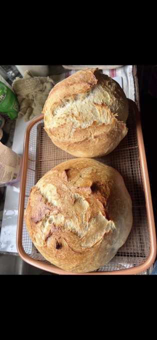 Two large, rustic, golden-brown loaves of artisan bread sit on a wire cooling rack inside a baking tray, photographed from above in a home kitchen.