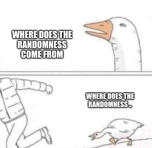 A two-panel meme featuring a goose asking 'WHERE DOES THE RANDNESS COME FROM' and then being chased by a goose while an astronaut runs away, with text 'WHERE DOES THE RANDNESS..'.