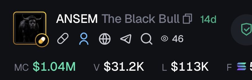 The image shows a profile card for "ANSEM The Black Bull" on what appears to be a memecoin tracking platform, displaying a market cap of $1.04M, volume of $31.2K, and liquidity of $113K, alongside social and trading metrics.

This trading dashboard illustrates the exact scenario the post is criticizing—a bundled memecoin ("The Black Bull") hitting a $1.04M market cap shortly after launch, highlighting the prevalence of pre-bundled "slop" tokens that undermine legitimate trench traders.